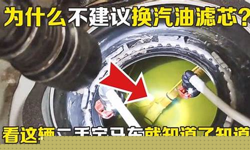 汽油滤芯问题会出现什么故障_汽油滤芯坏了有什么症状