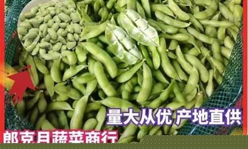 毛豆价格最新行情2021_毛豆油价格行情