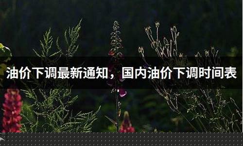油价下调最新通知今天查询北京_油价下调最新通知今天查询北京