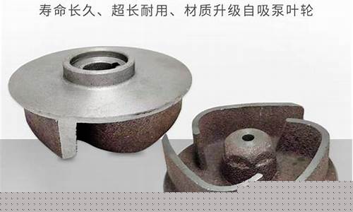 汽油机自吸水泵叶轮怎么拆卸_汽油机自吸水泵叶轮怎么拆