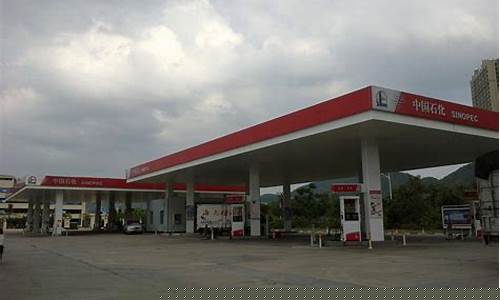 枣庄中石化汽油价格_枣庄中石化加油站电话